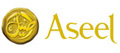 Aseel Finance